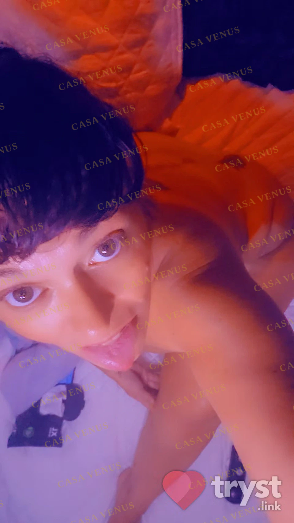 CrazyDreamer photo 1